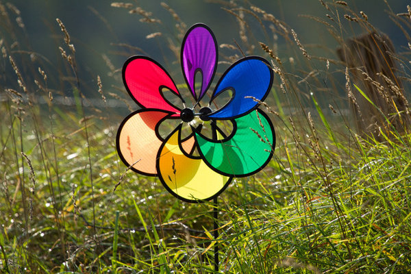 Windrad Paradise Flower Rainbow